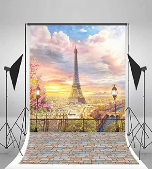Paríž Balkón Fotenie Krajiny Kulisu Mesta Letecký Pohľad Eiffelova Veža Ulici Obloha, Stromy, Kvety Ružové Dievčatá Dospelých Pozadí