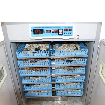 použitie hydiny, vajec inkubátor automatické kuracie liaheň stroj veľké 528 1056 vajcia